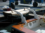 Duffy 35 with Voyager davits.